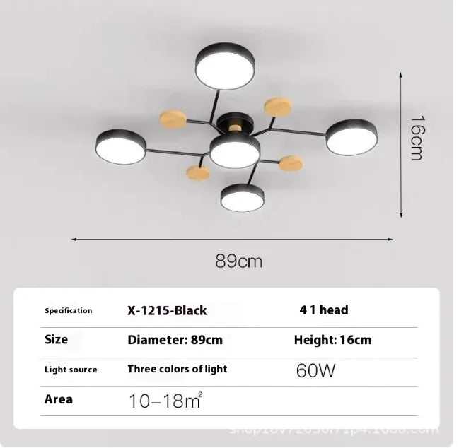 Modern Ceiling Lamp for Living Room | Minimalist Design