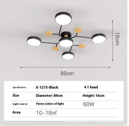 Modern Ceiling Lamp for Living Room | Minimalist Design