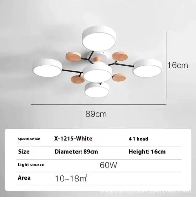 Modern Ceiling Lamp for Living Room | Minimalist Design