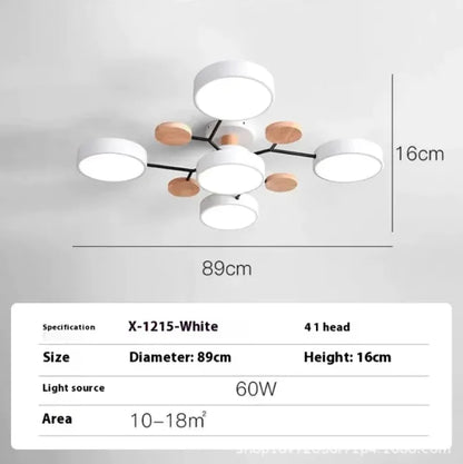 Modern Ceiling Lamp for Living Room | Minimalist Design