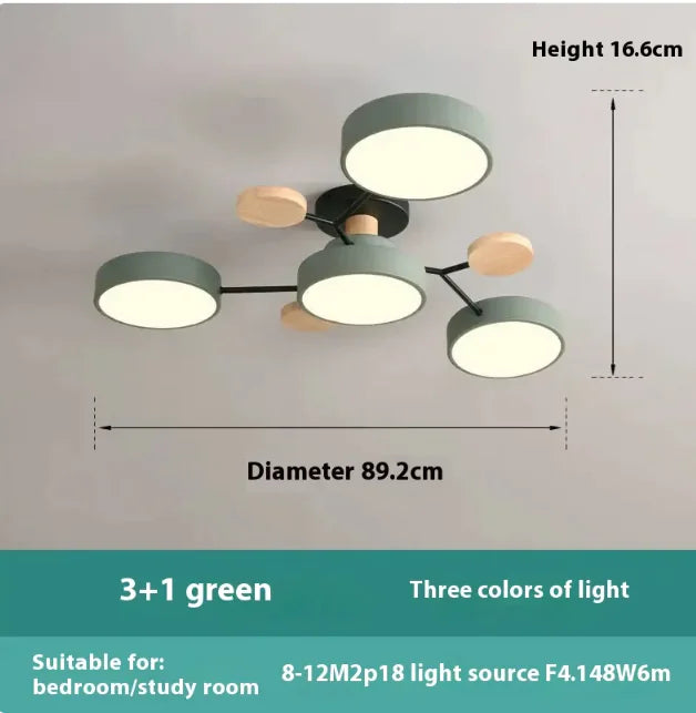 Modern Ceiling Lamp for Living Room | Minimalist Design