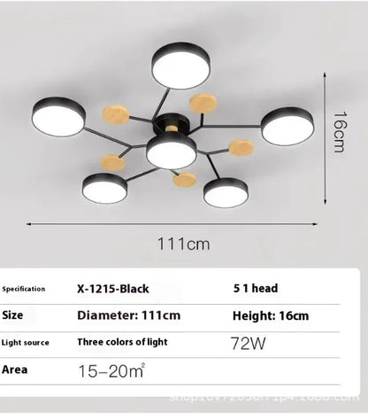 Modern Ceiling Lamp for Living Room | Minimalist Design