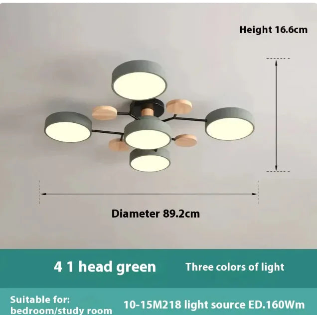 Modern Ceiling Lamp for Living Room | Minimalist Design