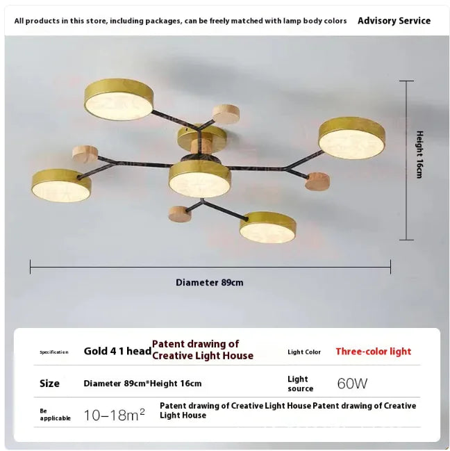 Modern Ceiling Lamp for Living Room | Minimalist Design