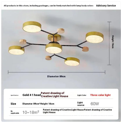 Modern Ceiling Lamp for Living Room | Minimalist Design