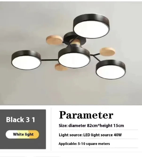 Modern Ceiling Lamp for Living Room | Minimalist Design