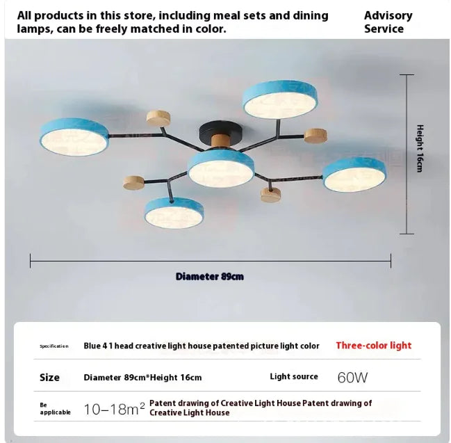 Modern Ceiling Lamp for Living Room | Minimalist Design