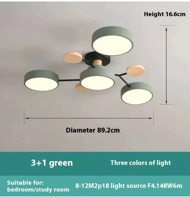 Modern Ceiling Lamp for Living Room | Minimalist Design