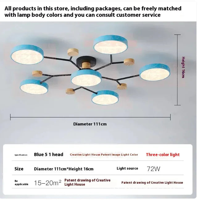 Modern Ceiling Lamp for Living Room | Minimalist Design