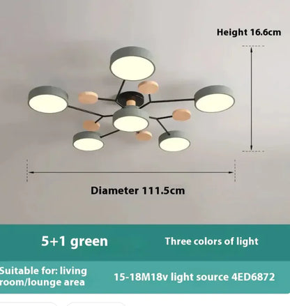 Modern Ceiling Lamp for Living Room | Minimalist Design